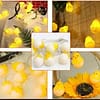 10LED's Eggs - Fairy Lights