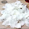 Pack of 300pieces - Rose Petal's Artificial Silk Flowers