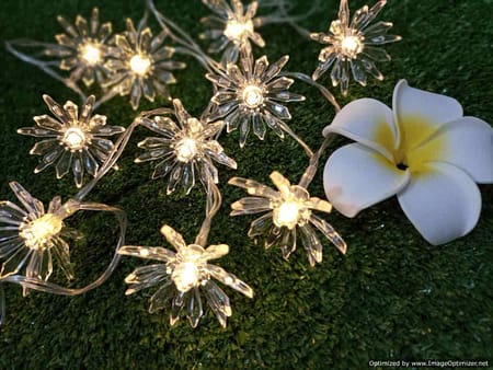 blossom flower fairy light 3m 01