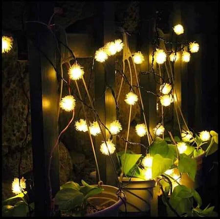 20 LED's - Fairy Lights + Pin Cones