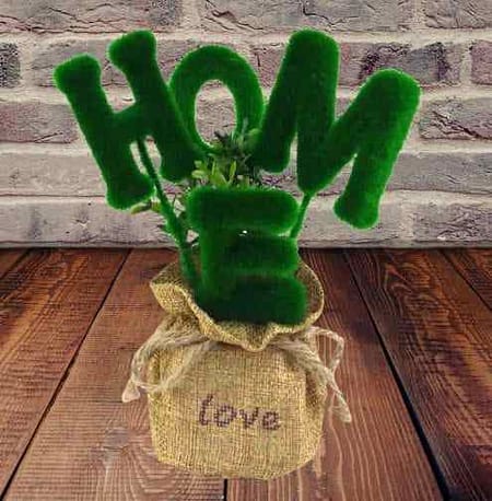 creative love home blessing green plants